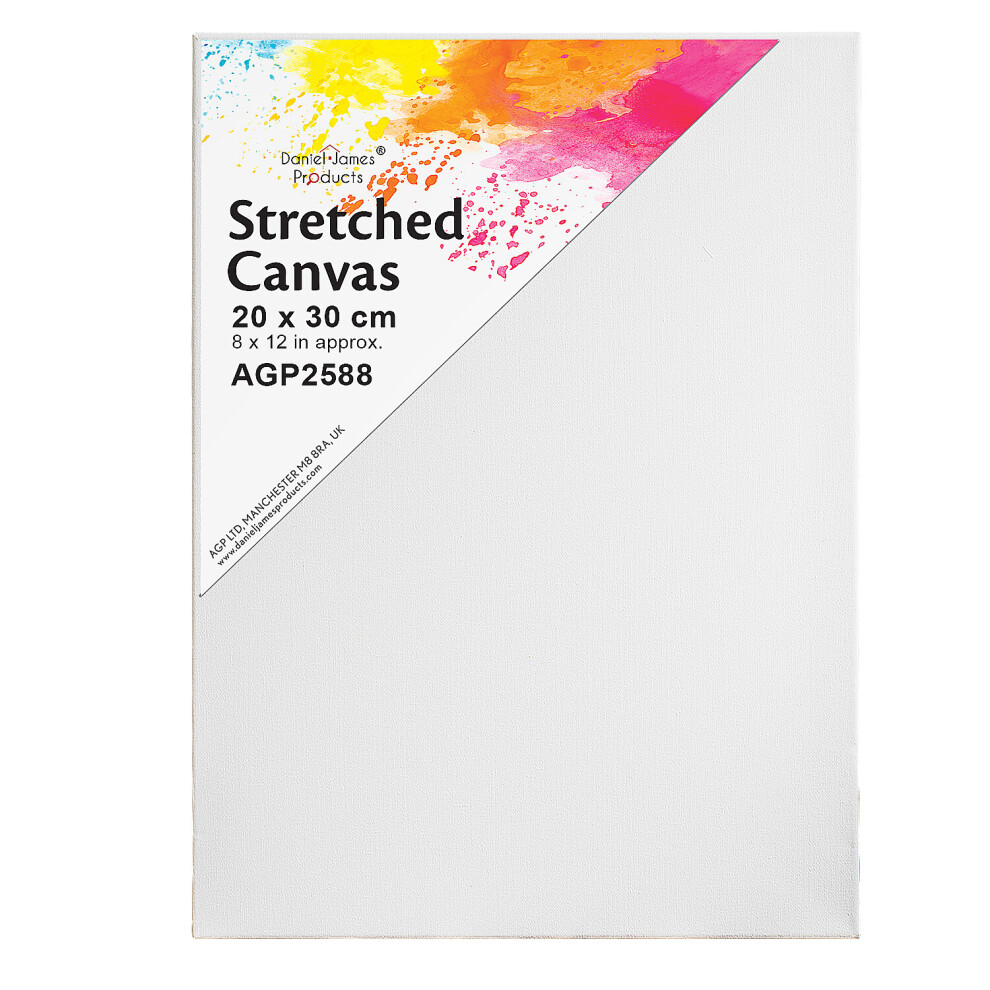 20cm x 30cm Artist Canvas Art Board Plain Painting Stretched