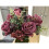 (Coffee) Best Artificial Vintage Rose Spray 9