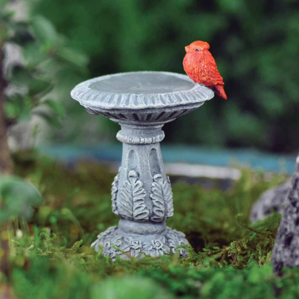 Fiddlehead Fairy Gardens - Bird Bath Cardinal