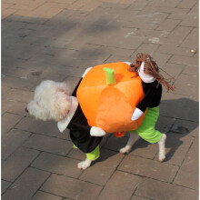 (M) Pet Dog Cat Clothes Carrying Pumpkin Costume Fancy Puppy Apparel Jacket Coat HOT
