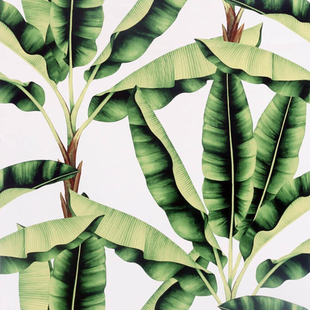 Arthouse Musa Wallpaper Modern Tropical Palm Jungle Green/White