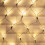 The Christmas Workshop 86590 180 Warm White LED Chaser Net Lights 8
