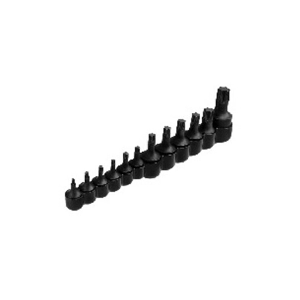 12 Piece Torx Bit Set T10-T60 769593497474
