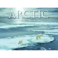 Arctic : Life inside the Arctic Circle - Claudia Martin - book