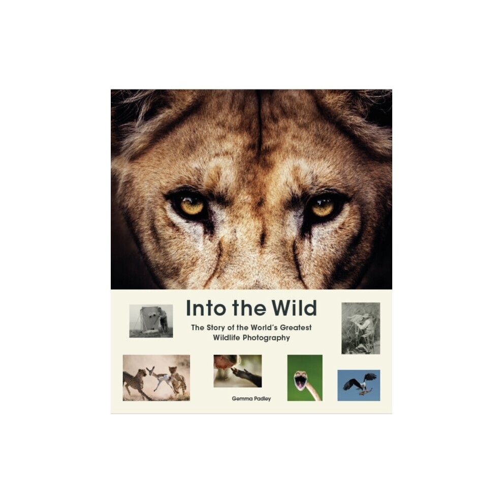 Into the Wild : The Story of the World's Greatest Wildlife Photography - Gemma Padley - book