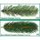 (8ft (240cm)) Best Artificial Slim Premium Hinged Christmas Tree 6