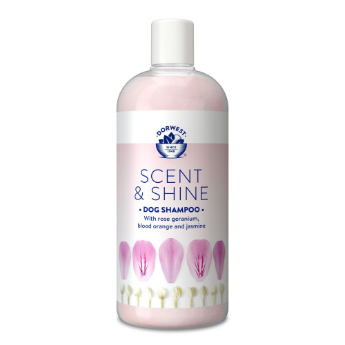 (500ml) Dorwest Scent & Shine Dog Shampoo