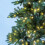 (Green) The Christmas Workshop 6ft Pre-Lit Christmas Trees 3