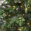 (Green) The Christmas Workshop 6ft Pre-Lit Christmas Trees 5
