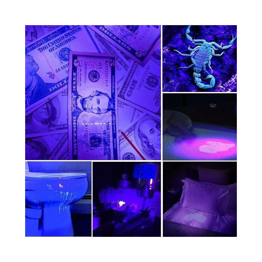 UV Flashlight Black Light Flashlight Ultraviolet LED Pet Urine Stains Detector
