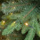 (Green) The Christmas Workshop 6ft Pre-Lit Christmas Trees 6