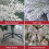 (Classic) The Christmas Workshop 6ft Artificial Christmas Trees 7