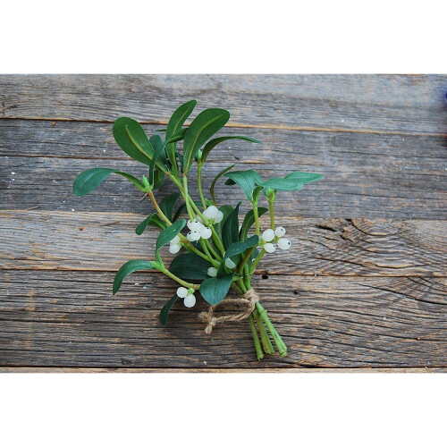 (1) Best Artificial Mistletoe Sprig