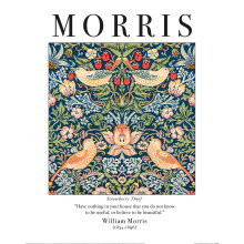 William Morris (Strawberry Thief)