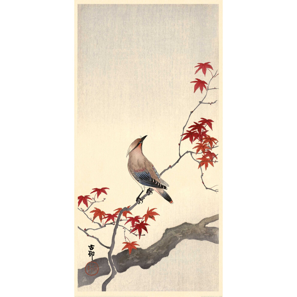 The Art Group Ohara Koson (Japanese Waxwing On Maple)