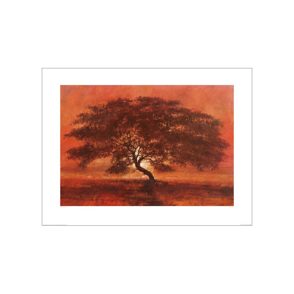 The Art Group Jonathan Sanders (Desert Tree) 80Cm