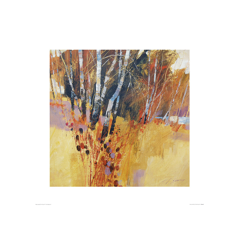 The Art Group Chris Forsey (Teasels And Birches) 60Cm