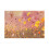 Siobhan McEvoy (Cosmos Flower Meadow) 1