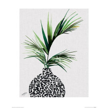 Summer Thornton (Areca Palm Plant)