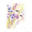 Jennifer Rose (Bees & Wildflowers) 1