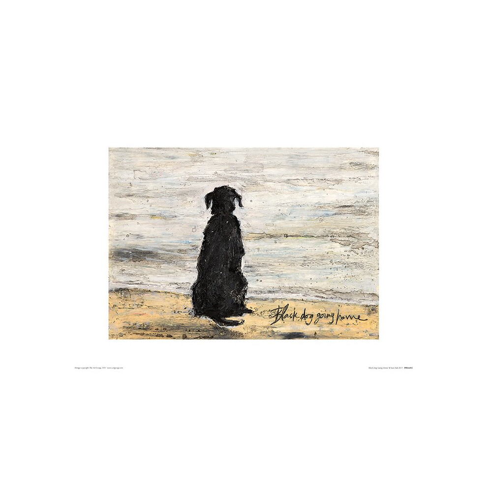 Sam Toft (Black Dog Going Home)