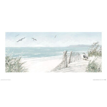 Richard Macneil (Coastal Dunes)