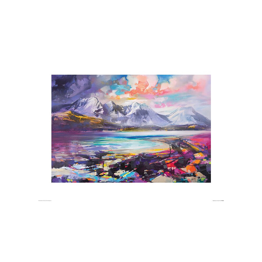 The Art Group Scott Naismith (Torrin, Skye)