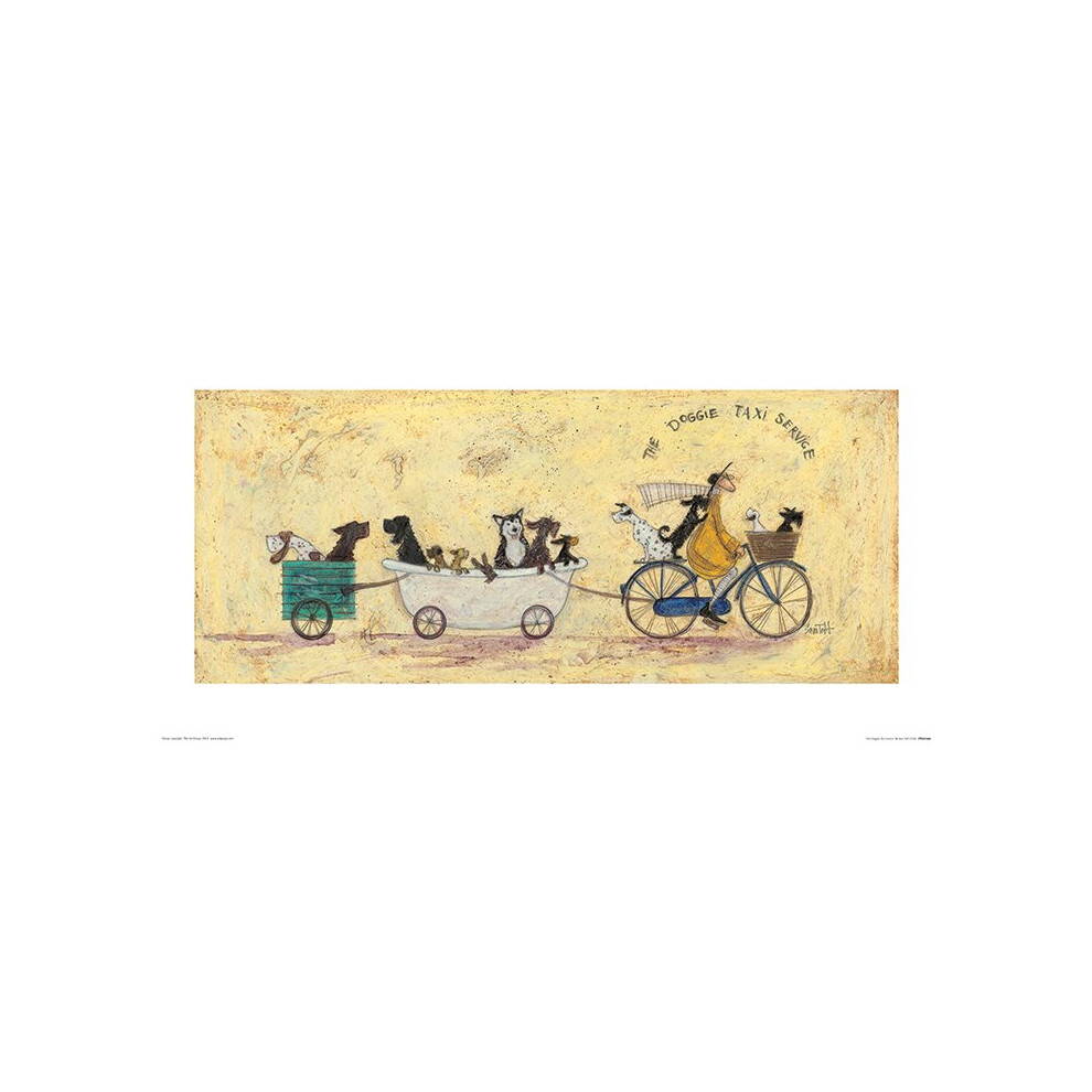 Sam Toft (The Doggie Taxi Service)