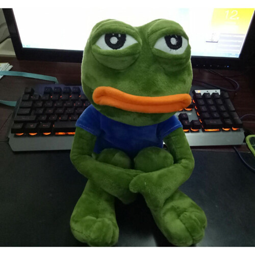 Δημιουργικό Pepe Sad Frog The Frpg Wire Stuffed Animal δώρο συλλεκτικό βελούδινα παιχνίδια 2