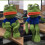 Δημιουργικό Pepe Sad Frog The Frpg Wire Stuffed Animal δώρο συλλεκτικό βελούδινα παιχνίδια 8
