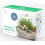 RootBox Large Plant Terrarium Kit in scented giftbox 1