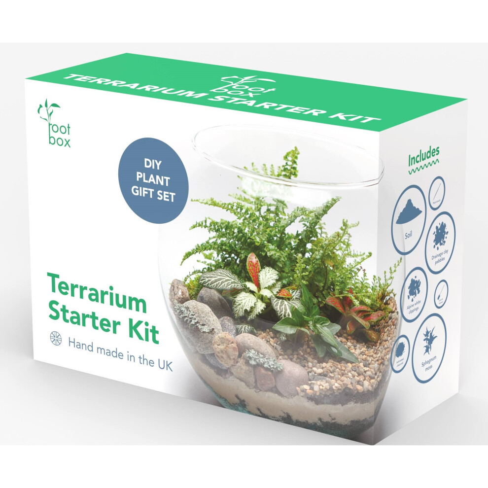 RootBox Large Plant Terrarium Kit in scented giftbox