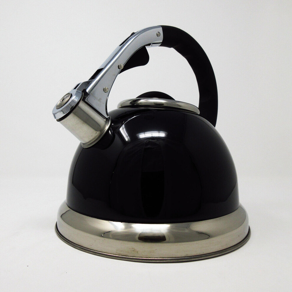 Whistling Kettle 3.5L Black Stainless Steel