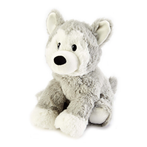 VACCUM PACKED TEDDY BEAR – MyChoiceShop