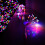 Premier 200 LED 10 Starburst Premier Christmas Multi Function Battery Timer Lights in Rainbow 1