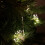 Premier 200 LED 10 Starburst  Premier Christmas Multi Function Battery Timer Lights in Warm White 5