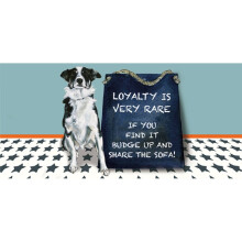 Share The Sofa Collie Little Dog Laughed Greeting Card Blank Inside Any Occasion