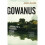 Gowanus 1