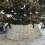 (57 cm) Christmas Tree Skirt Willow Wicker Stand Cover Grey 3