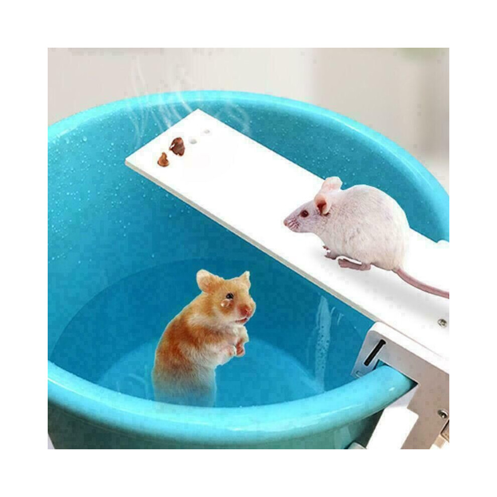 Mouse Trap Catch Rat Trap Catch Walk The Plank Humane Bucket Mice Auto Reset New