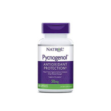 Natrol Pycnogenol 50 mg 60 Capsules Antioxidant Supplement for Skin Health, Circulation & Immune Support