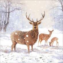 Pack of 8 Snowy Stag NSPCC Charity Christmas Cards Xmas Cards