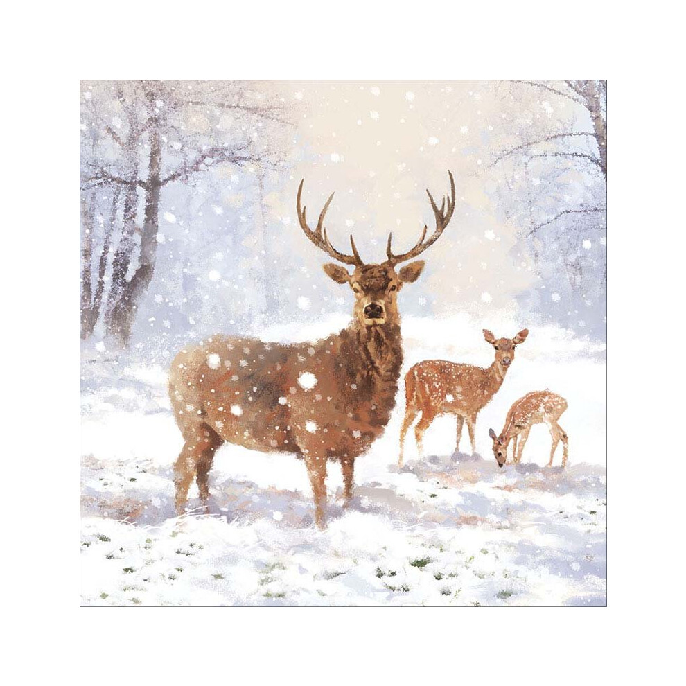 Special Editions Pack Of 8 Snowy Stag Nspcc Charity Christmas Cards Xmas Cards