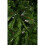 (6ft / 180cm) Best Artificial Colorado Pine Hinged Indoor Christmas Tree With Full Mixed Tips 5