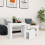VidaXL vidaXL 3x Nesting Coffee Tables White Engineered Wood Indoor Couch Sofa Table 1