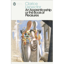 An Apprenticeship or The Book of Pleasures - Clarice Lispector - book