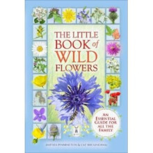 The Little Book of Wild Flowers - Andrea Pinnington - book