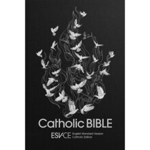 ESV-CE Catholic Bible, Anglicized Standard Hardback : English Standard Version - Catholic Edition - SPCK ESV-CE Bibles - book
