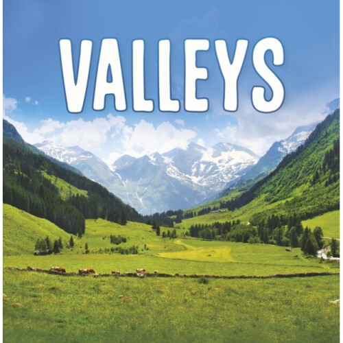 Valleys - Lisa J. Amstutz - book