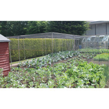 (Large Cage H2 x W1.854m x L2m Green Bird Netting) Fruit & Veg Cages Walk In With Door Choose Netting